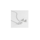 CONJUNTO SETWEB2100