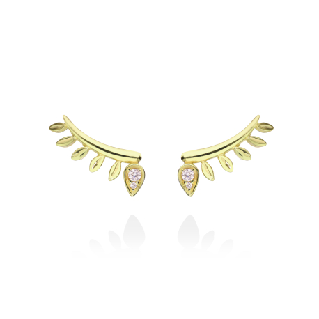 PENDIENTES TREPADORES