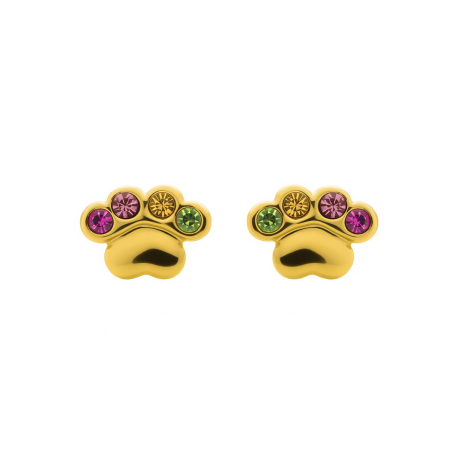 PENDIENTES HUELLAS