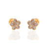 PENDIENTES FLOR NACAR