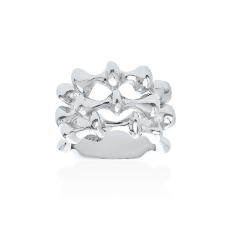 ANILLO PLATA VERTEBRAL
