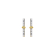 PENDIENTES PALO CIRCONITAS